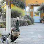 Hotel Aquae Sinis Diffuso Càbras