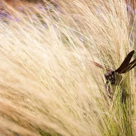 Szálloda Aquae Sinis Diffuso Càbras