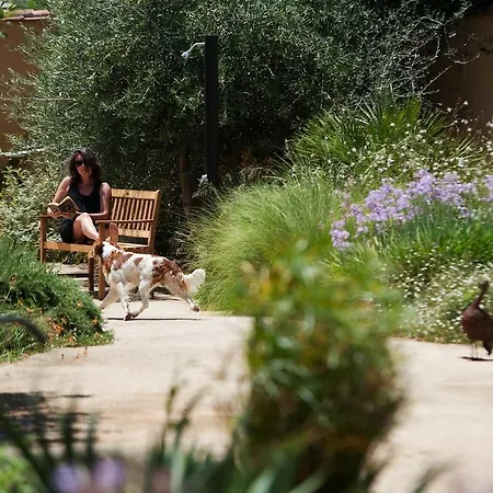 Szálloda Aquae Sinis Diffuso