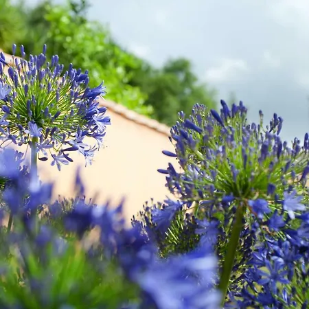 Aquae Sinis Diffuso Szálloda 4*