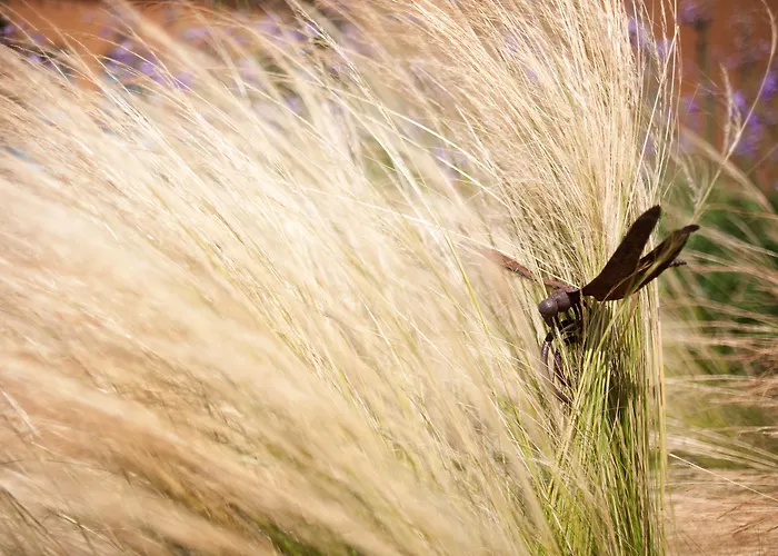 호텔 Aquae Sinis Diffuso 까브라스