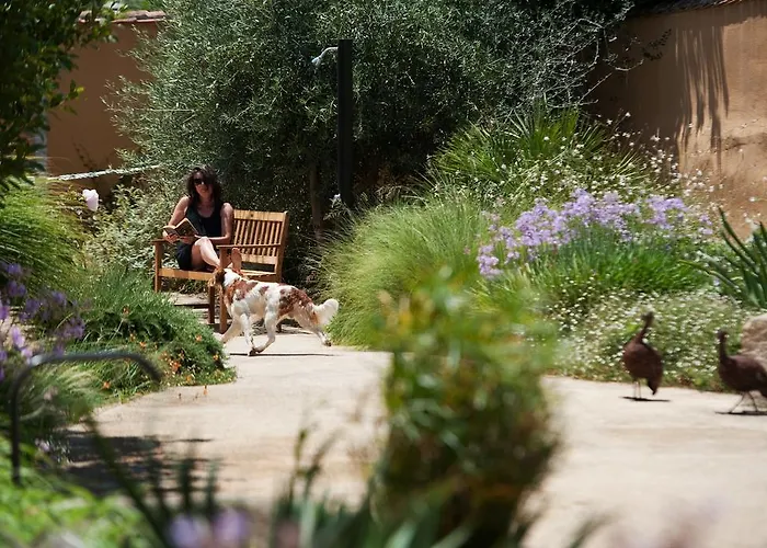 Hotel Aquae Sinis Diffuso