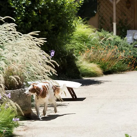 Hotel Aquae Sinis Diffuso Càbras