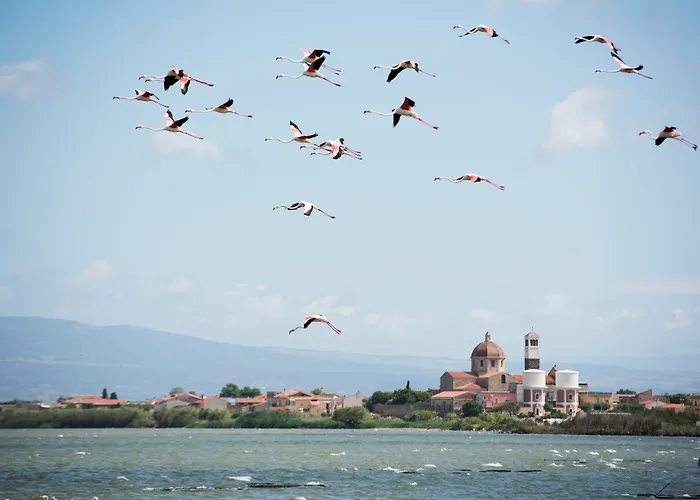 ホテル Aquae Sinis Diffuso