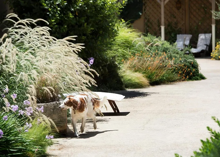 Hotel Aquae Sinis Diffuso Càbras
