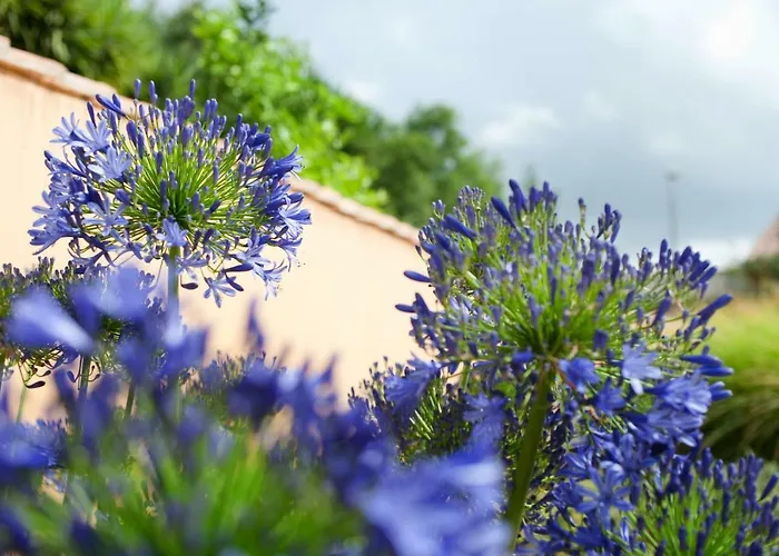 Aquae Sinis Diffuso Hotel 4*